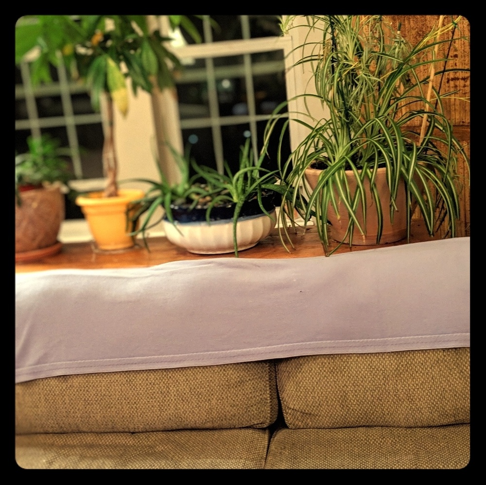 Cashmere pashmina